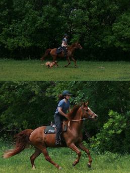 Adriane and Shadrack's King